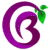 Brihathi Ayurveda